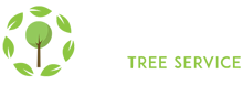 Gomez Tree Removal Houston TX – Free estimates – Tree Removal Houston TX, Trimming, Pruning & Care TX