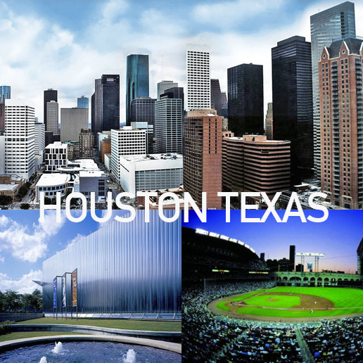 Houston texas tree service